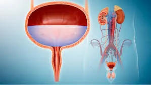 Best Urologist in Pokhran Road Thane
Urologist in...