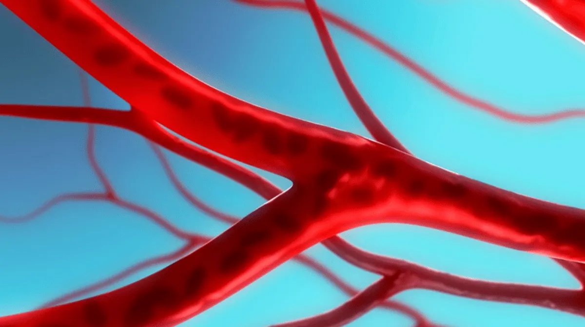 Vascular Surgery Services at Dr. K G Deshpande Mem...