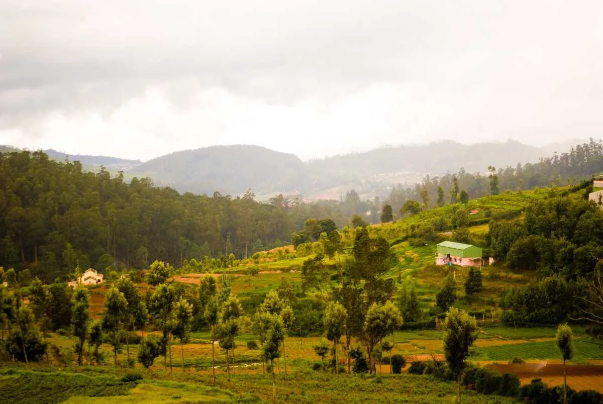 Visit Near Mysore For An Extended Vacation
Muduma...
