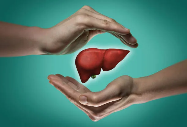 Liver Care at Shree Homoeopathic Clinic, Pune Expe...