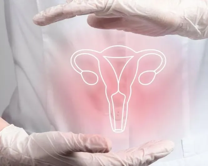 Gynecologist in Thane Leading Gynecologist Service...