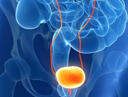Effective Solutions for Urinary Diseases at Dr. Vi...