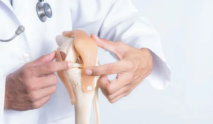 Expert Orthopaedic Consultation Services at FittFo...
