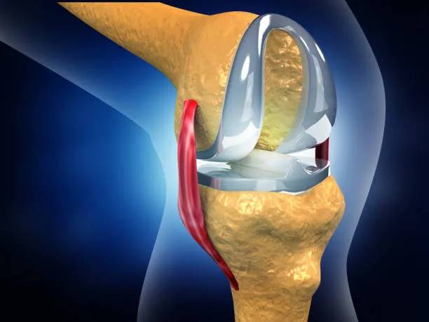 Knee Replacement Surgeon Yelahanka In Yelahanka, D...