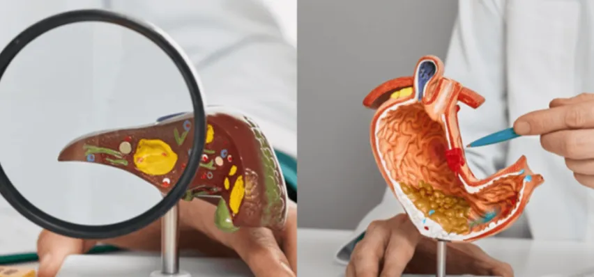 Best Homoeopathic Clinic for Gastro and Liver Issu...