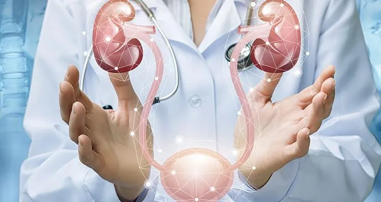 Comprehensive Urology Care: Meet Your Trusted Urol...