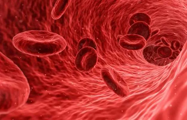 Polycythemia Vera and Raktamokshan: A Holistic App...