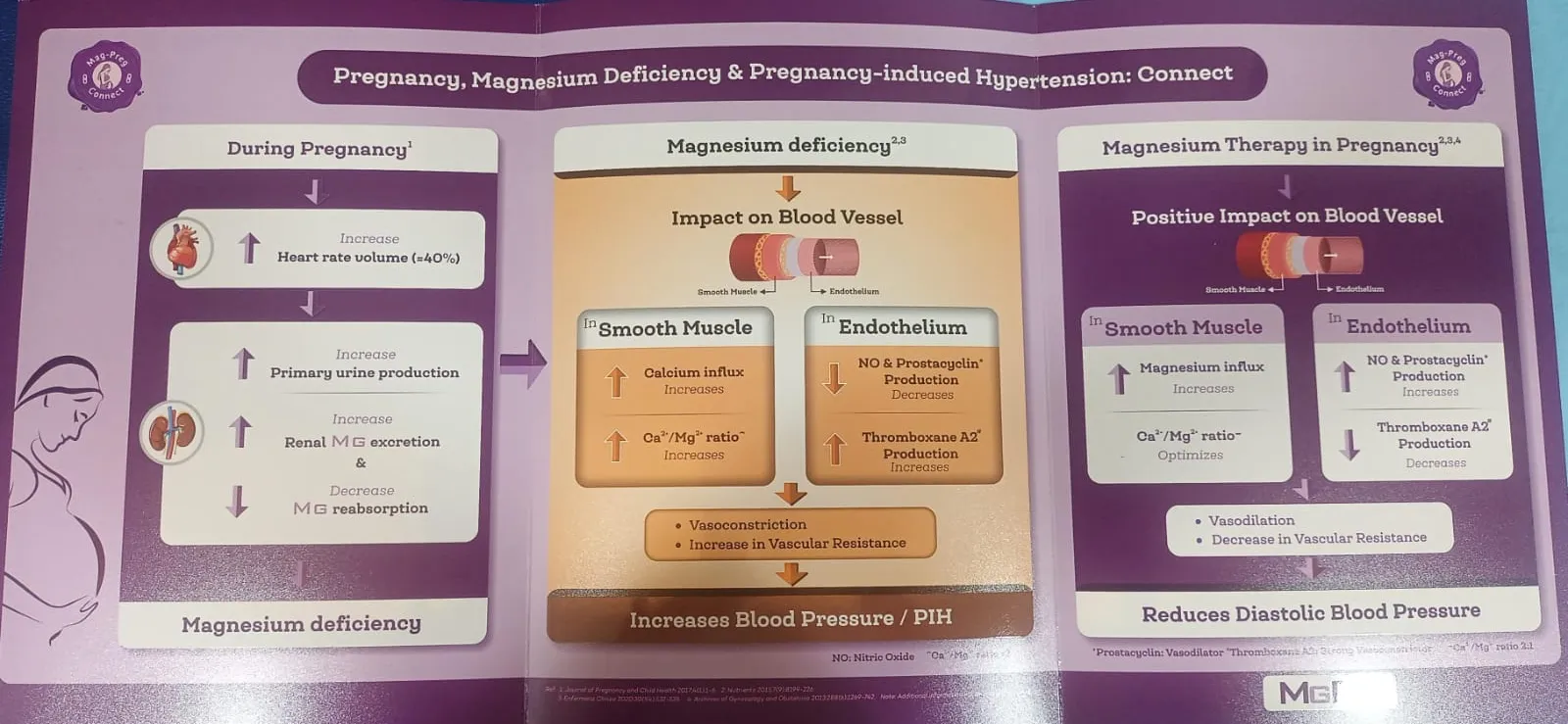 Magnesium plays several crucial roles during pregn...