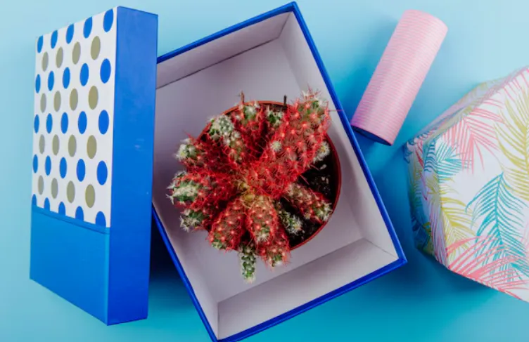 Cake Boxes for Safe and Elegant Packaging VENMART ...