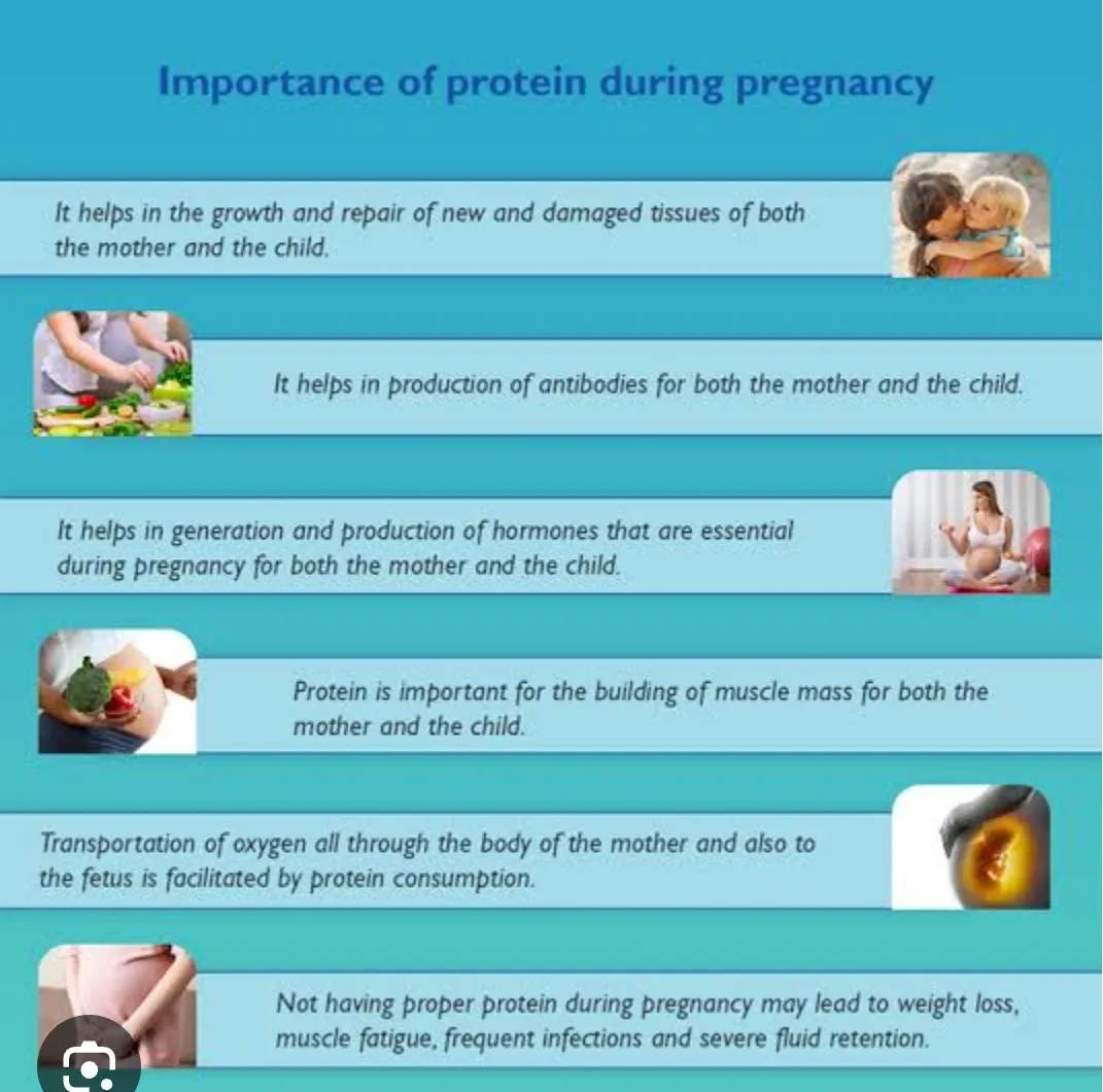 A protein-rich diet during pregnancy is essential ...