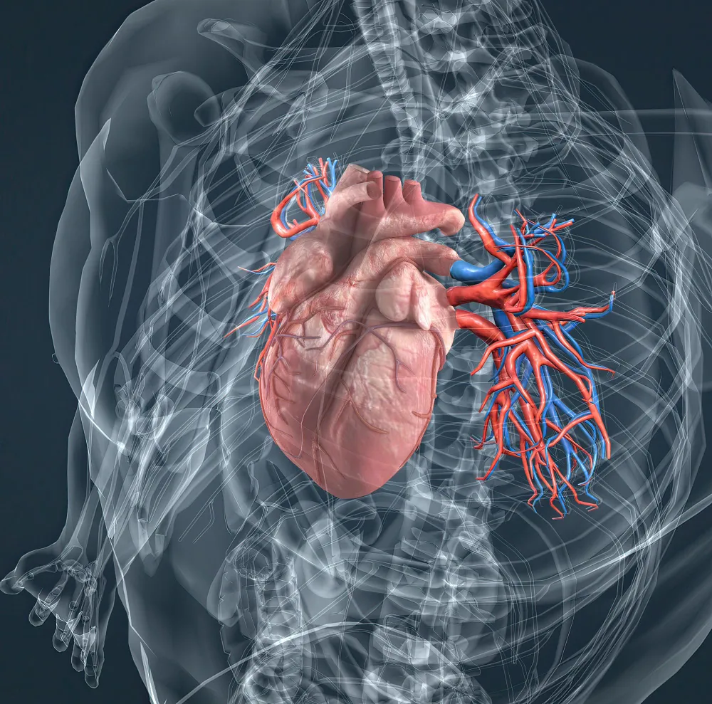 Coronary Artery Disease: Protect Your Heart from S...