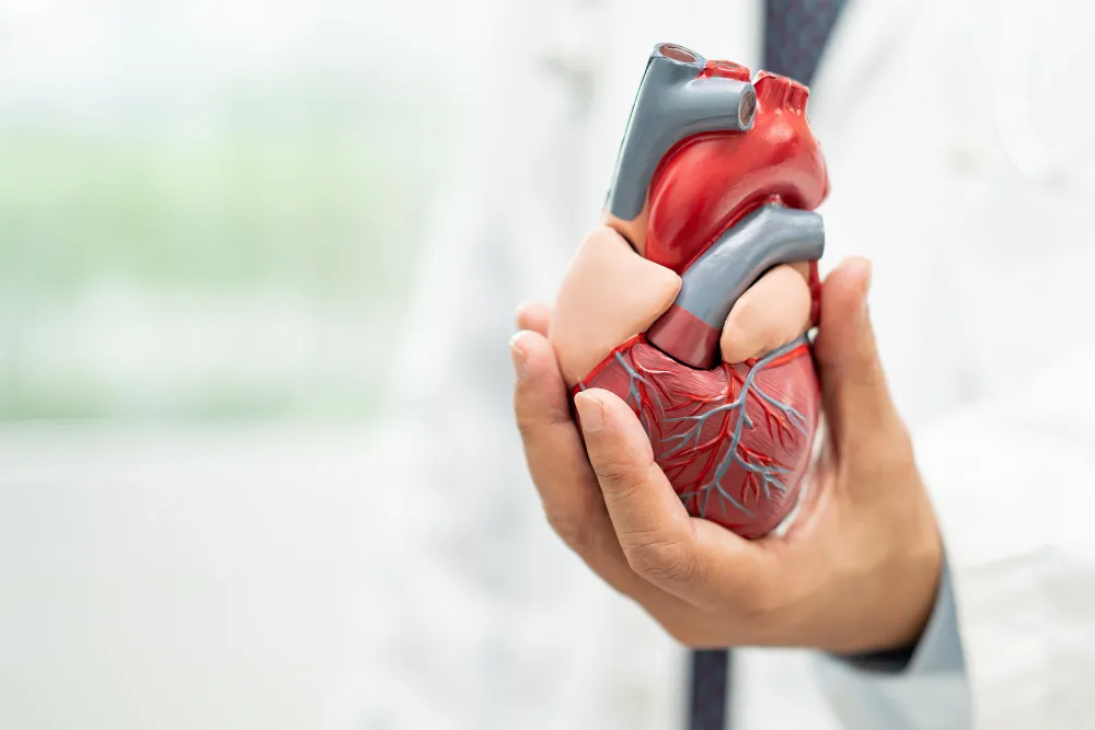 Managing Coronary Artery Disease for a Healthier H...