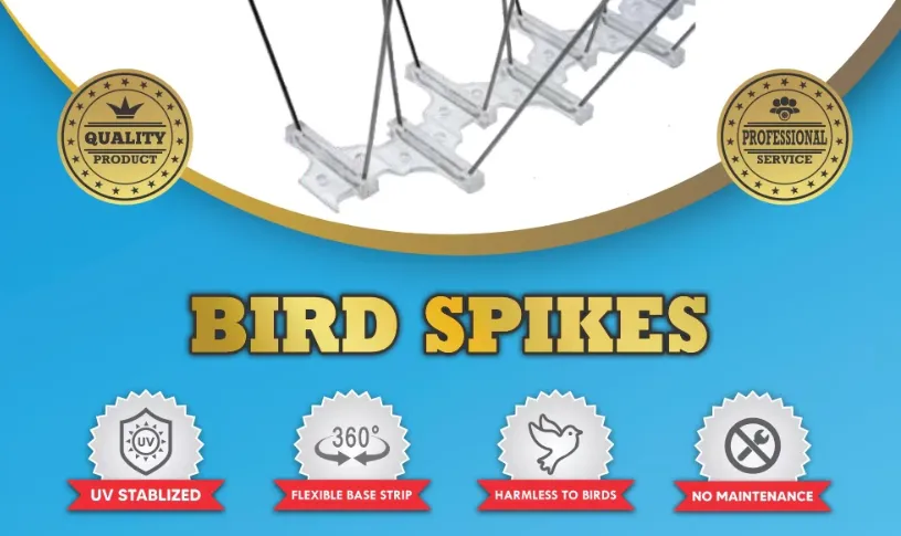 Bird Spikes in Nagpur: Humane and Effective Bird D...