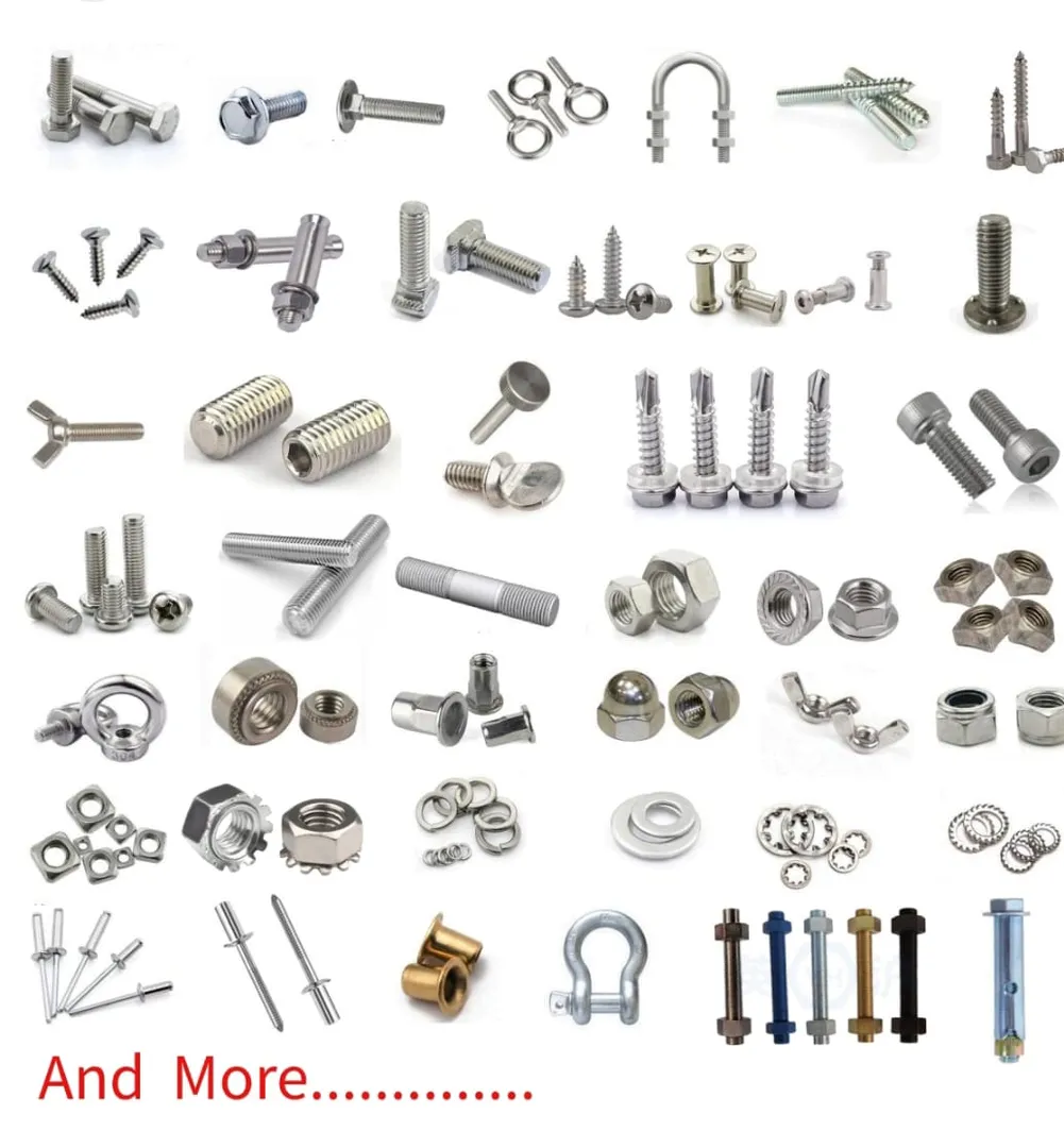 Stainless Steel Bolt M6
Stainless Steel Bolt M8
St...