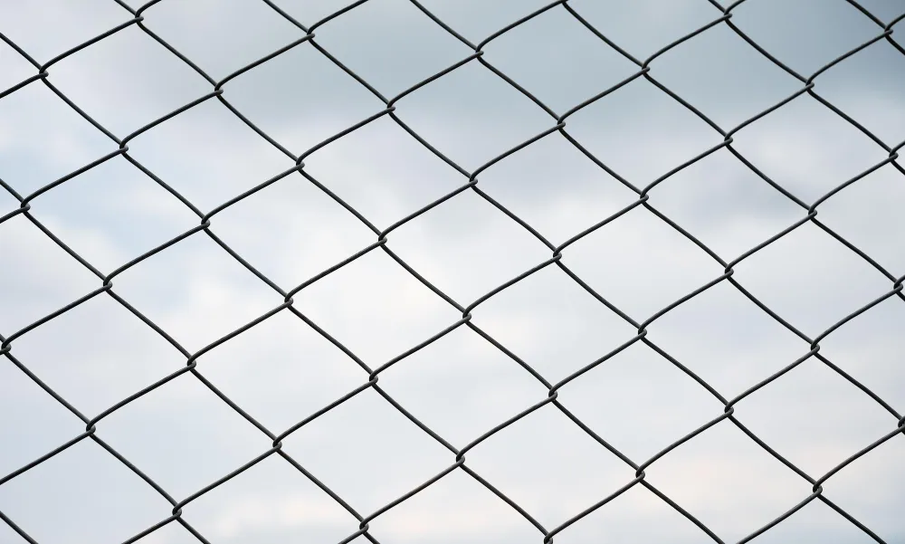 Holding Mesh in Nagpur: Strong Protection for Your...