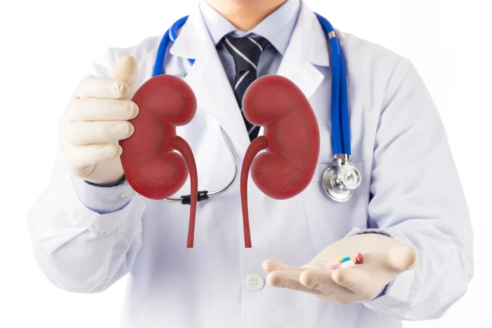 Best Kidney Stone Treatment in Thane Kidney stones...