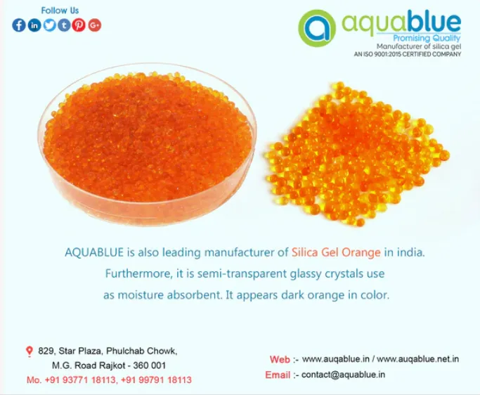 The company has gone on to become India's pioneer ...