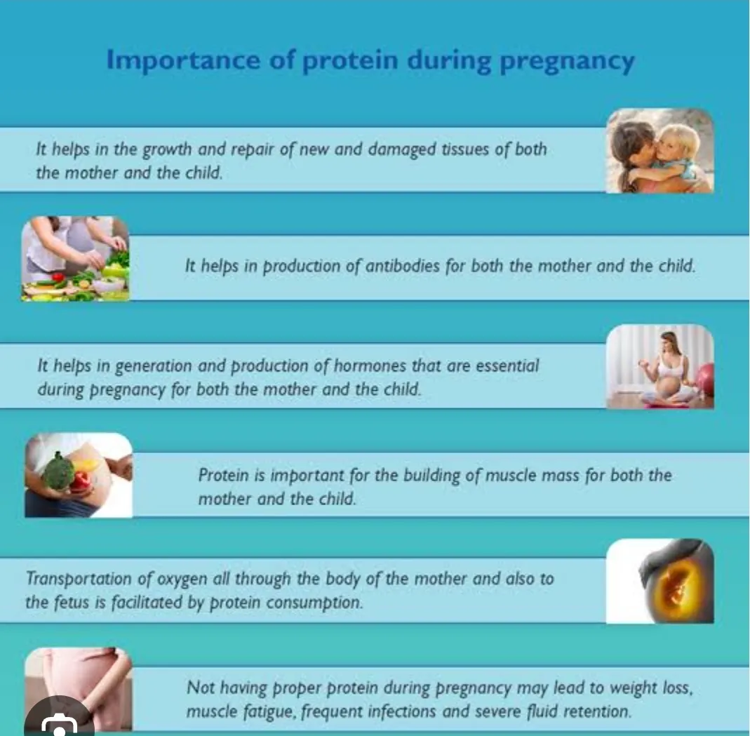 Protein is essential during pregnancy because it s...