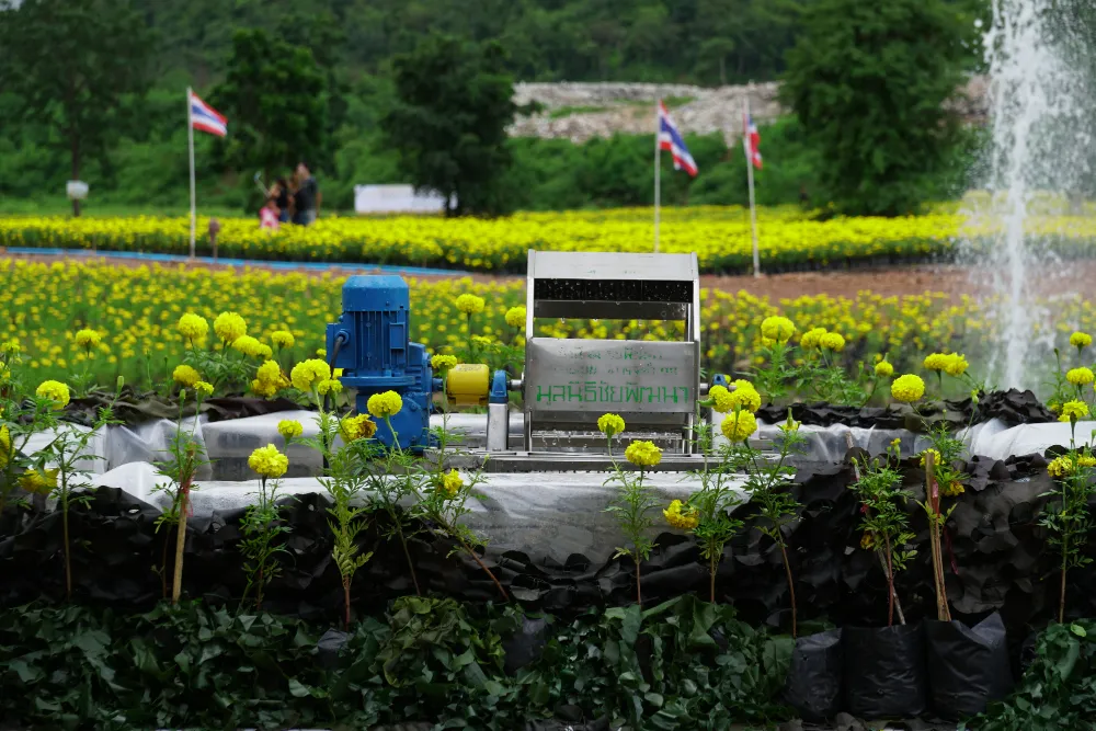 Water Pumps in Bangalore: Reliable Solutions for Y...