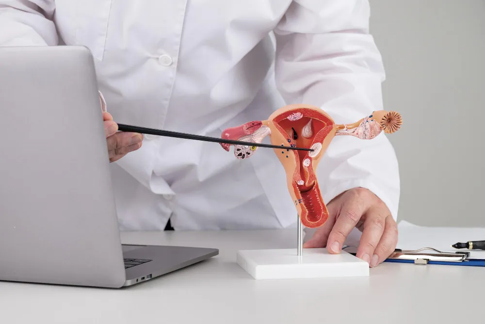 Endometriosis Treatment in Thane – Relief for Chro...