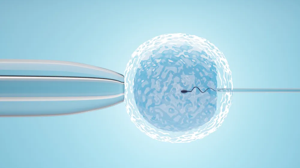 IVF Treatment in Mumbai: Turning Dreams into Reali...