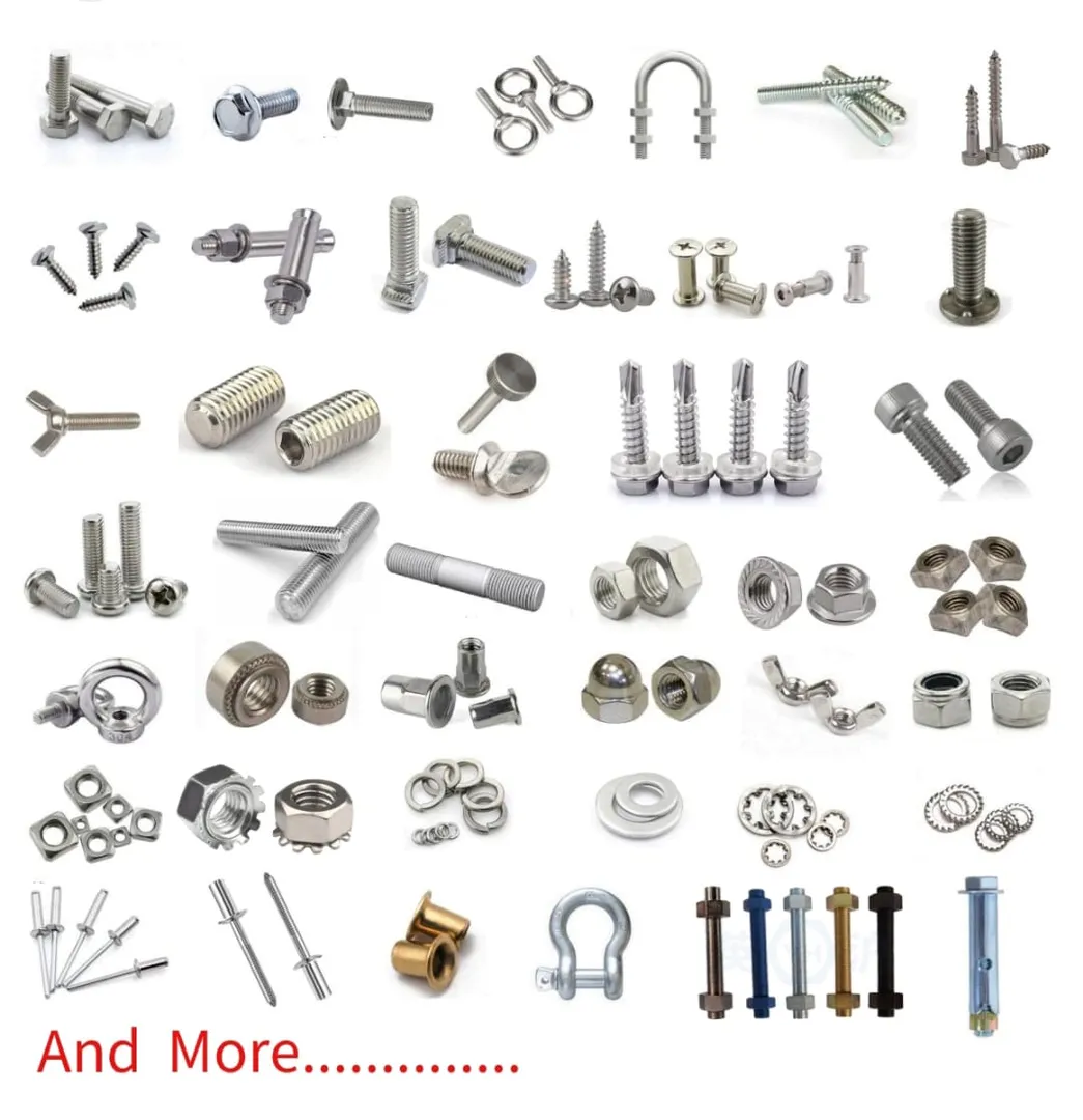 FASTENER SUPPLIER IN KAZAKHSTAN
BOLTS SUPPLIER IN...