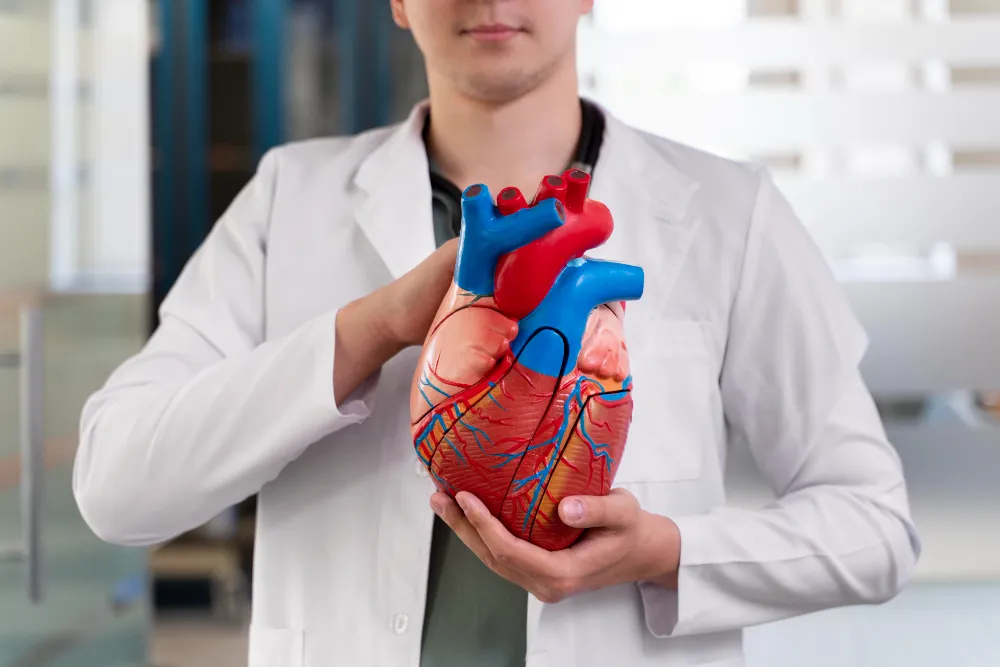 Affordable Cardiologist for Blocked Arteries in Ch...