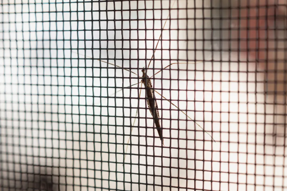 Plated Mosquito Mesh for Effective Pest Control Lo...