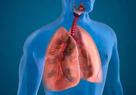 Lung Disorder
Pneumonia is an infection of the lun...