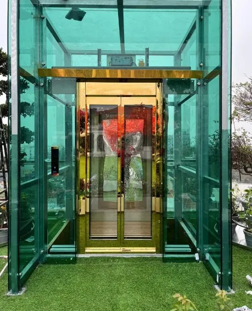 Custom Elevators in Hyderabad: Tailored Solutions ...