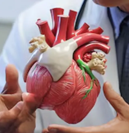 Affordable Cardiologist for Blocked Arteries in Ch...