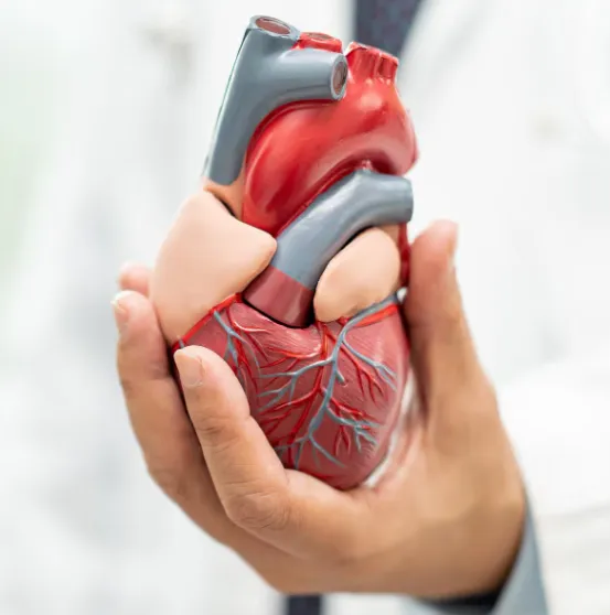 Heart Health Packages Near Tambaram, Chennai Looki...