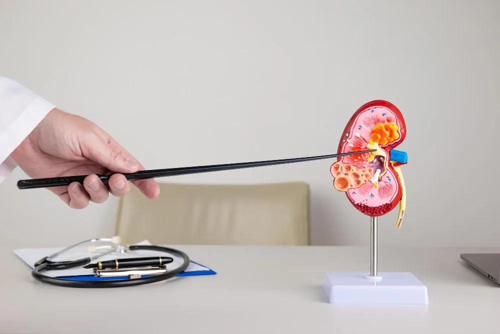 Kidney Laser Stone Treatment in Thane Laser techno...