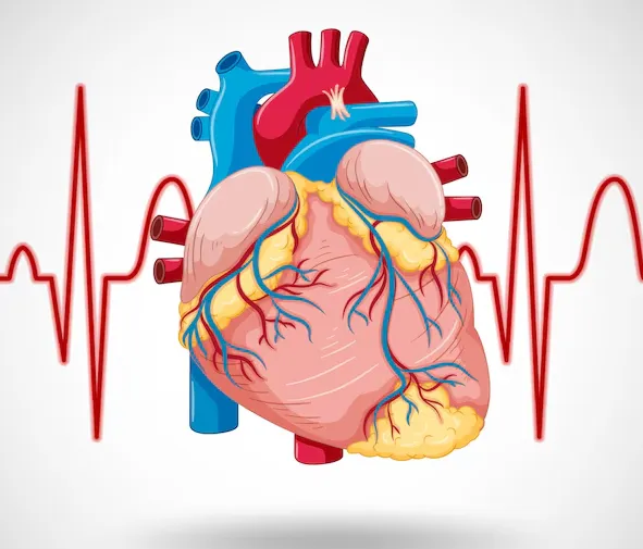 Remove Heart Blocks Without Bypass Surgery At SR H...