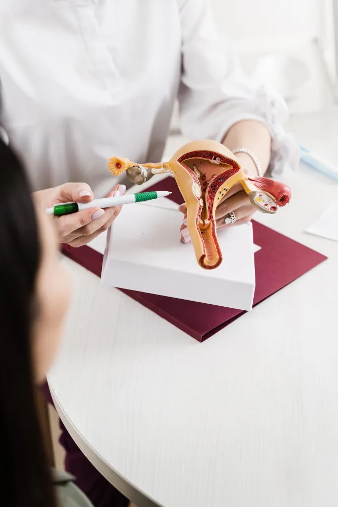 Cosmetic Gynecology in Thane: Enhancing Confidence...