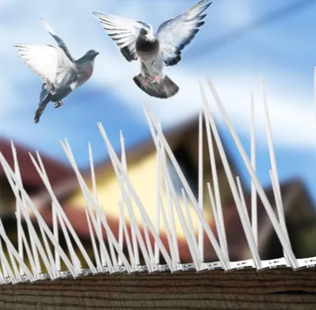 Premium Bird Spikes in Nagpur for Hassle-Free Prot...