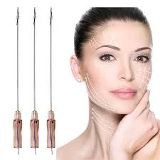 Thread Lift at Netaji Subhash Place Pitampura
T...