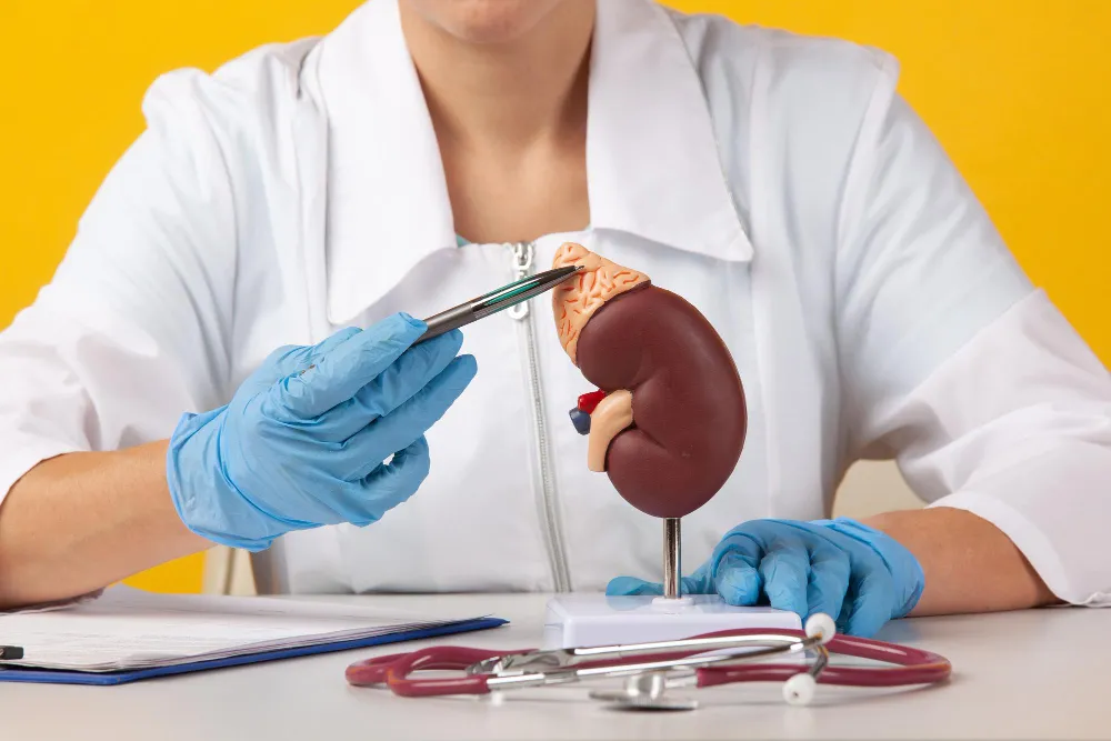 Kidney Disease Treatment in Thane: Trusted Care fo...