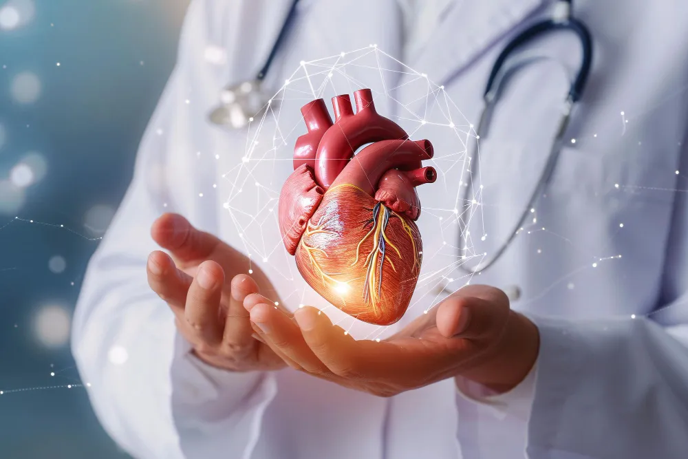 Post-Heart Attack Recovery Clinics in Chennai Reco...