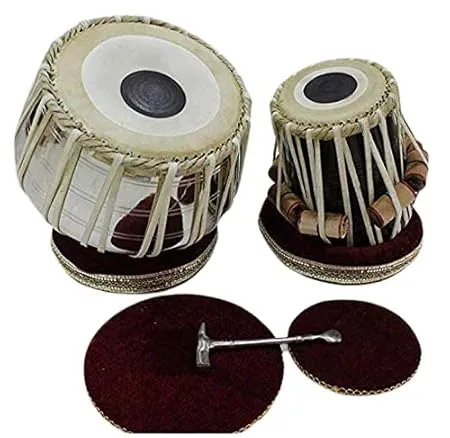 Tabla Set Plant In Delhi Tabla Set Plant In New De...