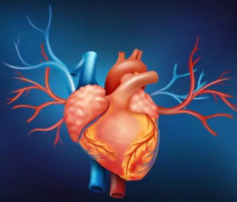 Heart Disease Awareness Programs in Chennai SR Hea...