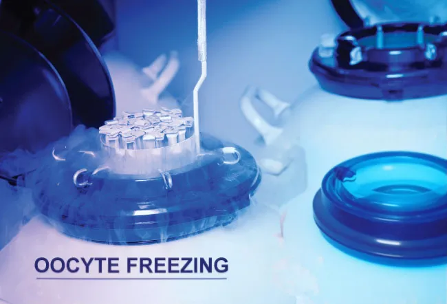 Oocyte Preservation in Mumbai Secure Your Fertilit...
