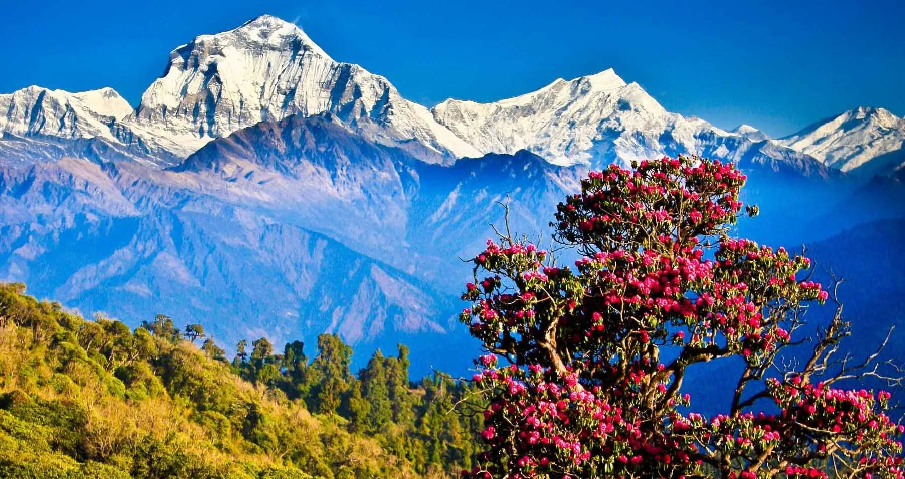 Places To Visit in Nepal
Nagarkot
"The Himalayan...