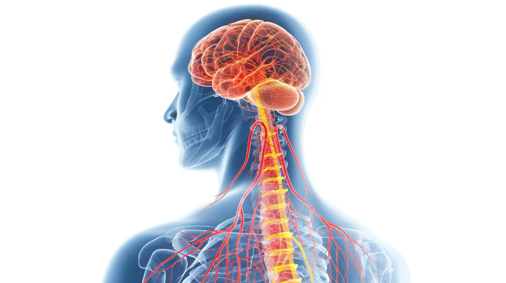 Comprehensive Neurosurgical Treatment in Pune – Yo...