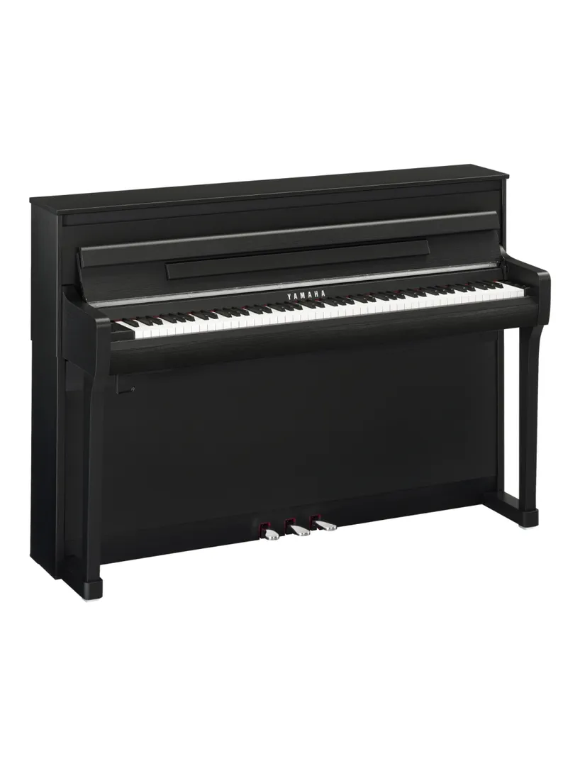 Digital pianos are also non-acoustic and do not ha...