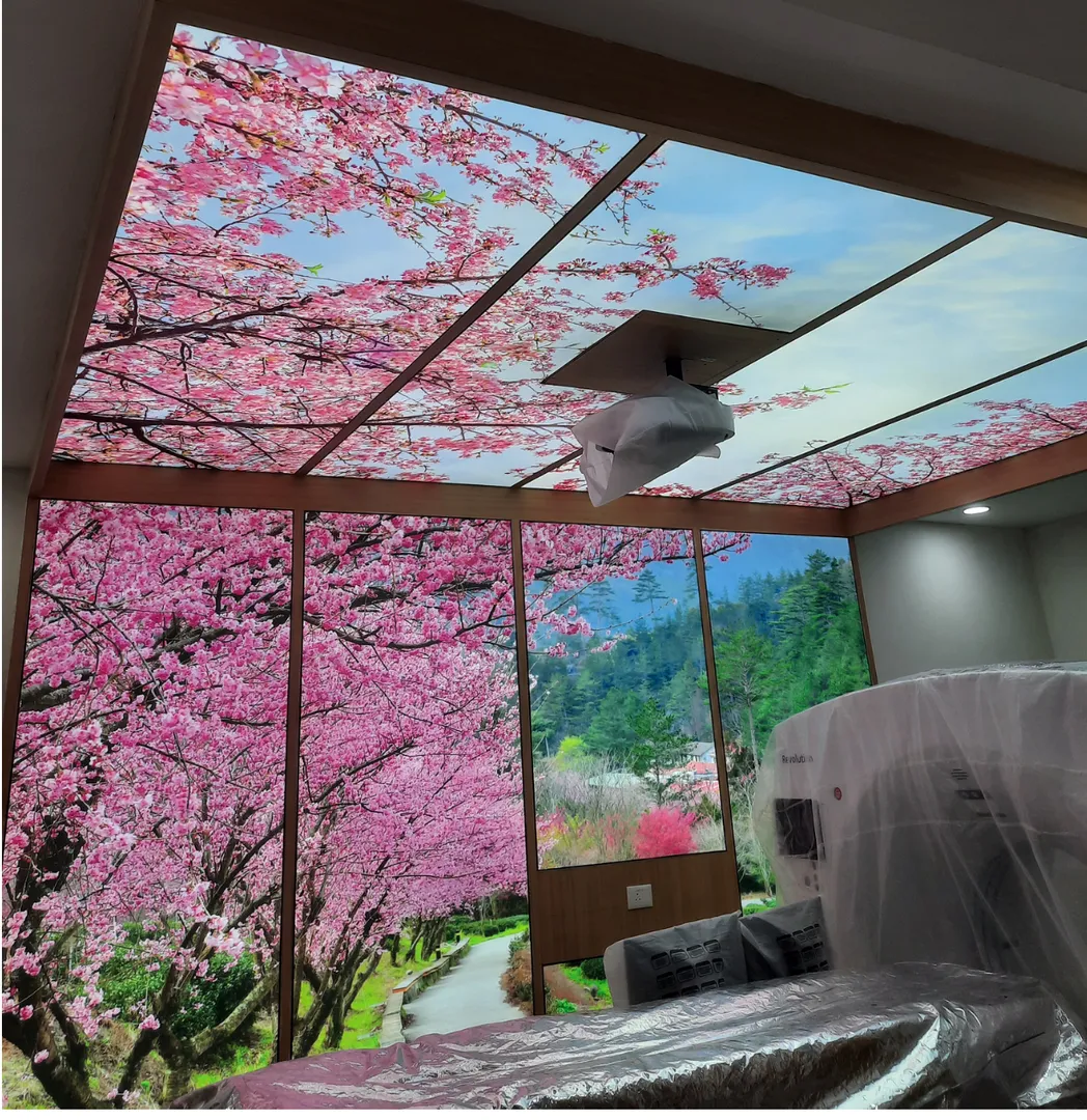 Stretch Ceiling Hyderabad
Printed Stretch Ceilin...