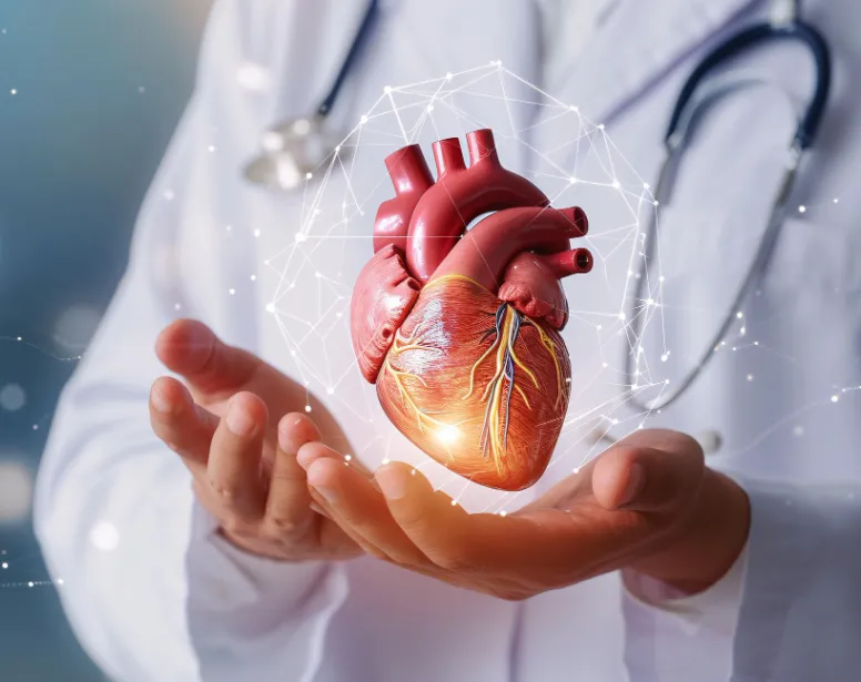 Blocked Arteries Treatment in Chennai – Safe and E...