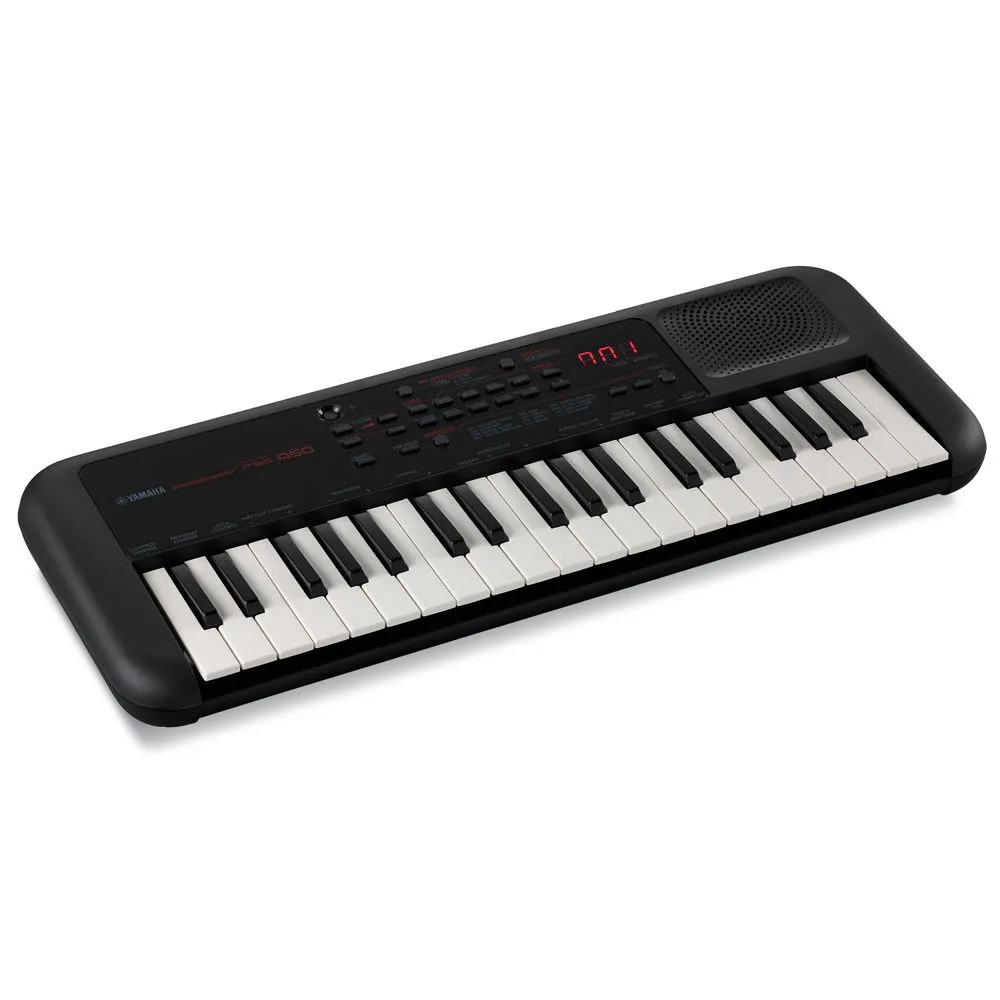 Most Casio keyboards feature automated accompanim...