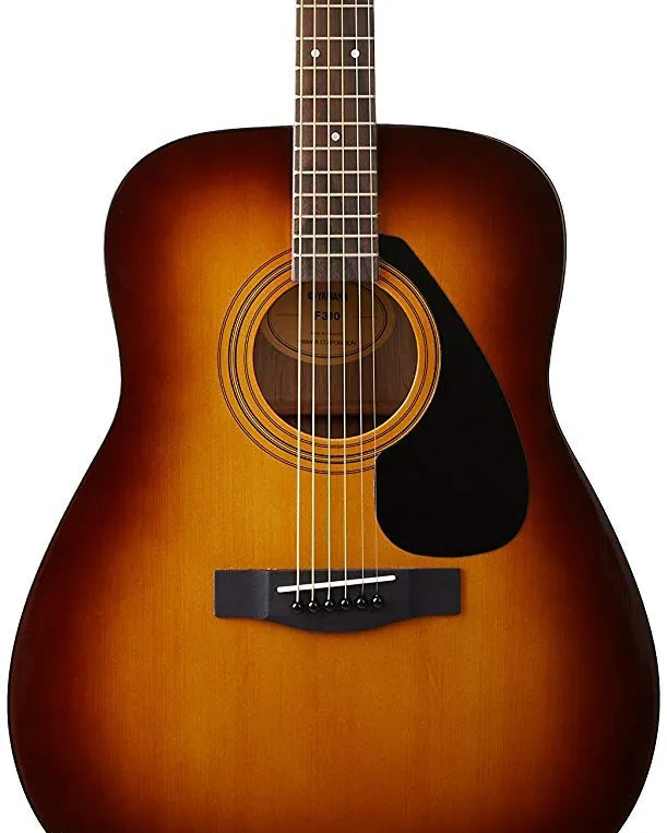 Semi-Acoustic: These guitars have a hollow body (u...
