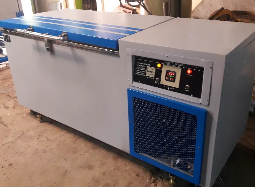 Deep Freezers in Bangalore– Reliable Cold Storage ...